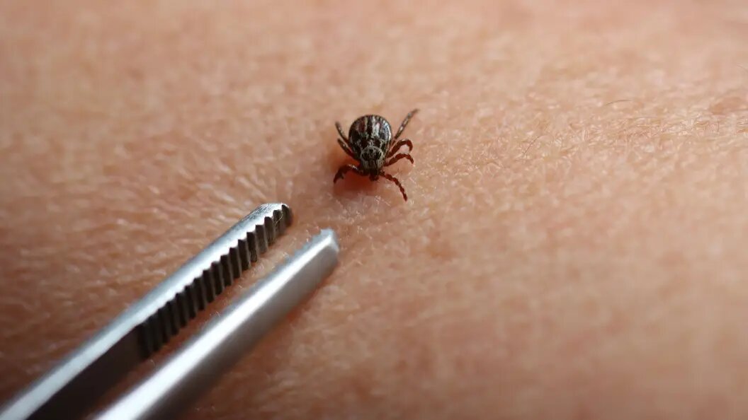    фото: IMAGO/Rüdiger Rebmann/Globallookpress