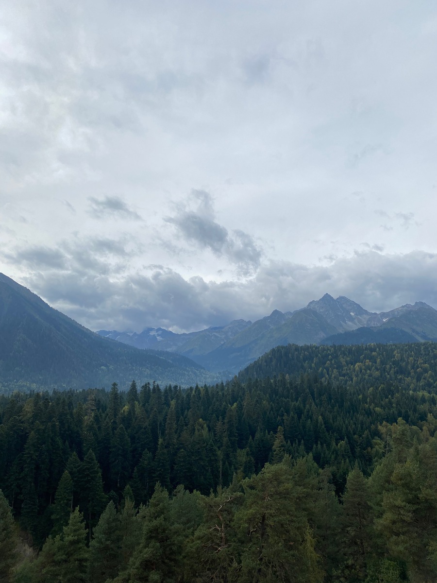 Вид на горы около отеля «Амра»