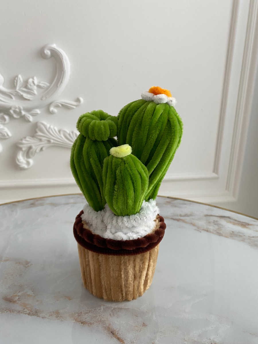 Вот такие фото стандратные