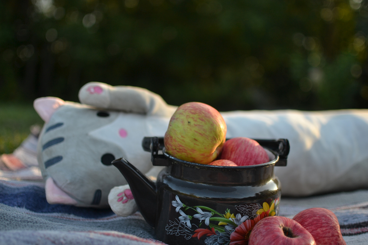 Фотографий своей декоративной яблони я не нашла. Поэтому вот вам вполне декортиавные, к тому же очнь вкусные яблоки с просто яблони