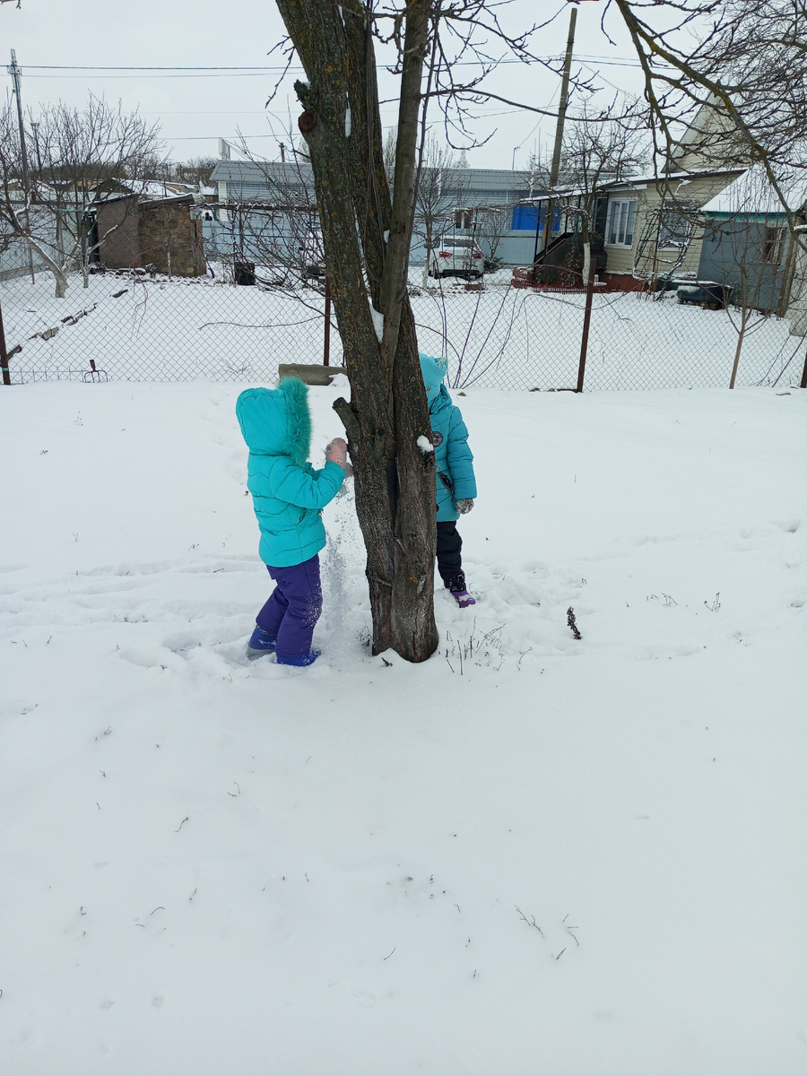 Спрятались и снег едят😁❄️