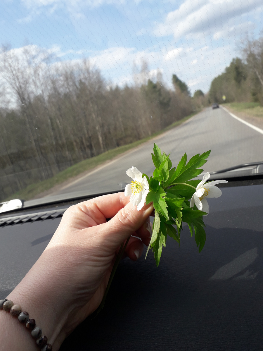 Благодаря новым встречам открываю что-то новое