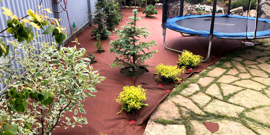 Мульчирование ЩЕБНЕМ и КОРОЙ. Рассказываю все НЮАНСЫ спустя 5 лет!