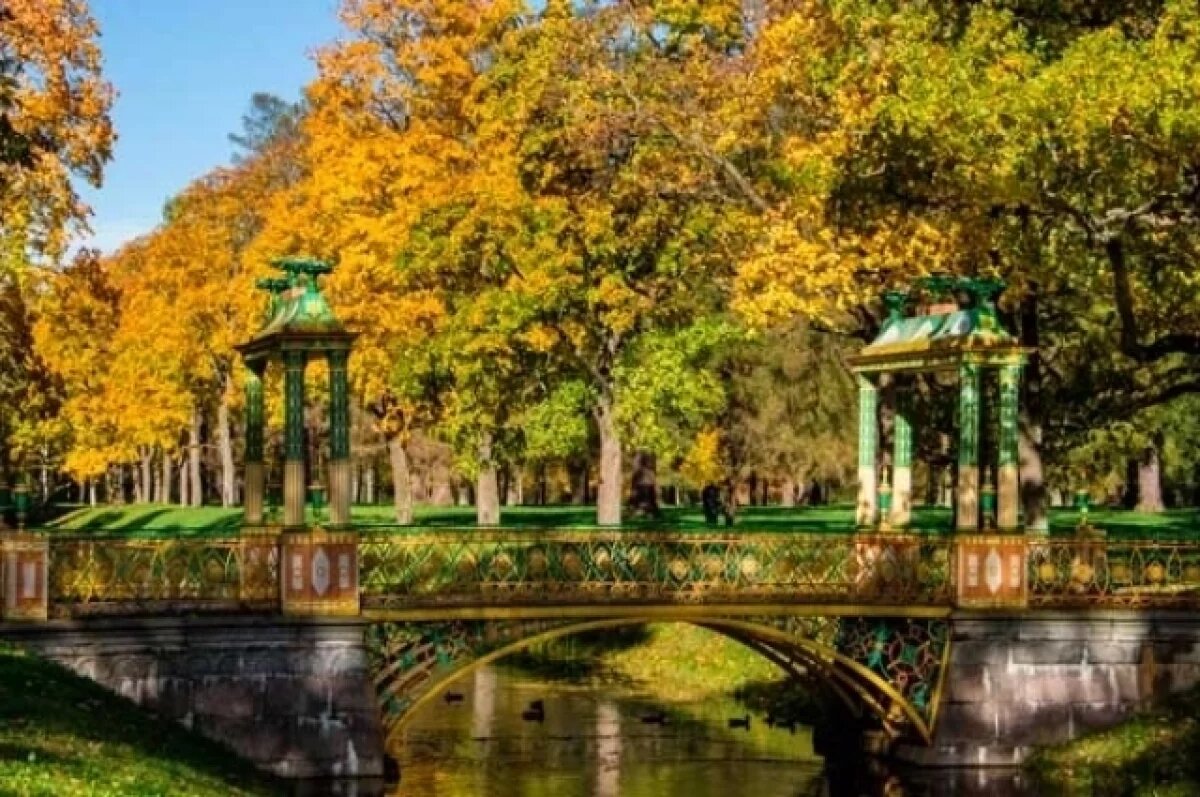    Героями фотовыставки в Александровском парке стали птицы и животные региона