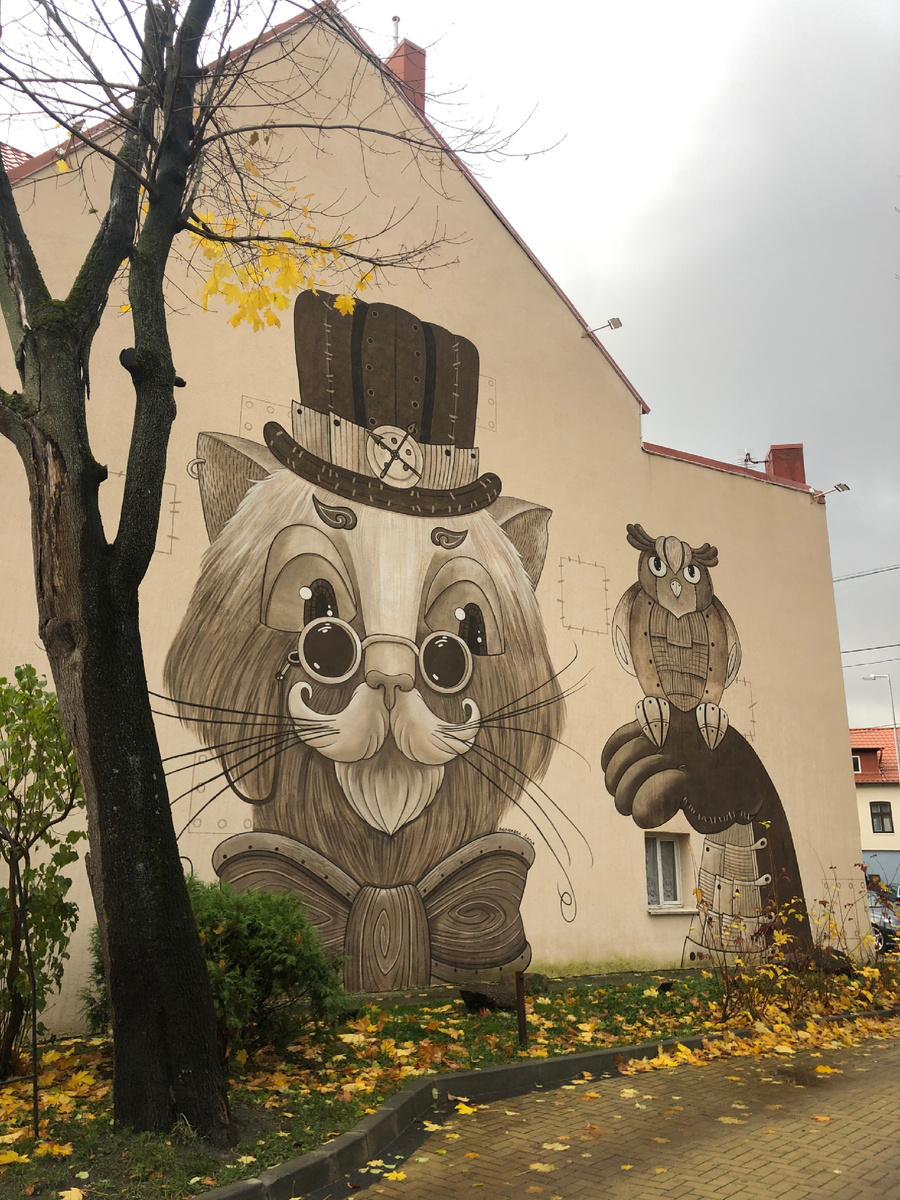 Осенняя фотография из Светлогорска