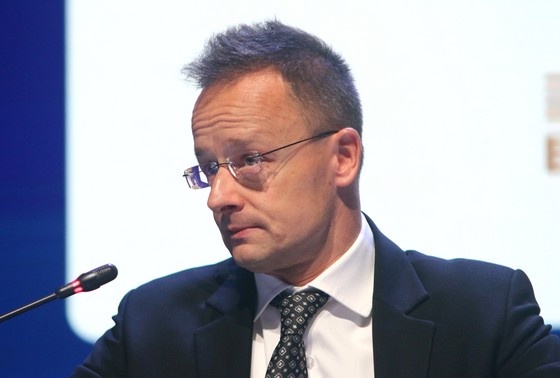    Maksim Konstantinov/Global Look Press