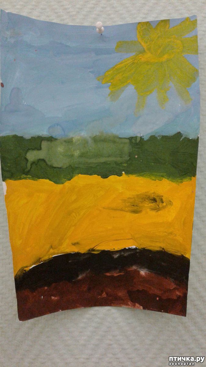 Рисунок Алисы. 2018 год