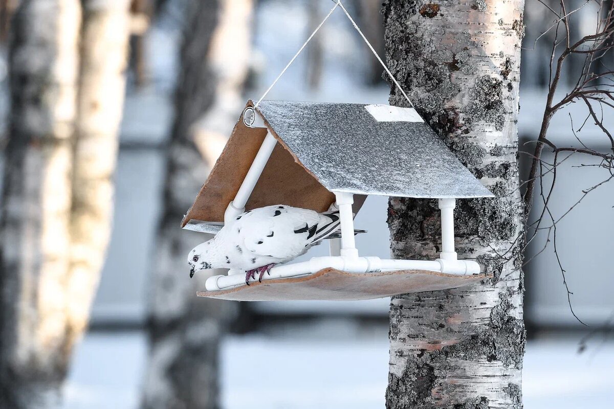    Фото: "Республика"/ Оксана Кудряшова