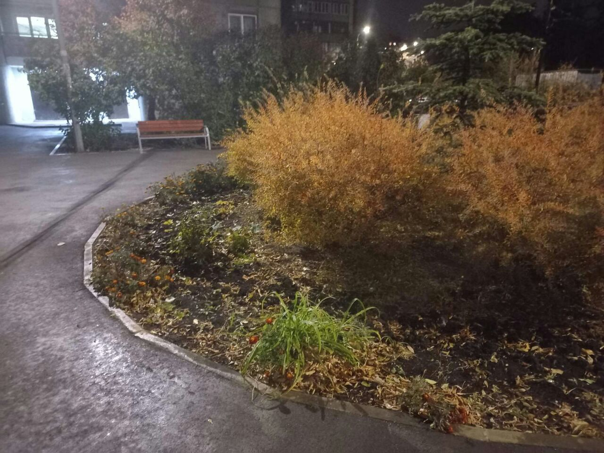 Фото автора.