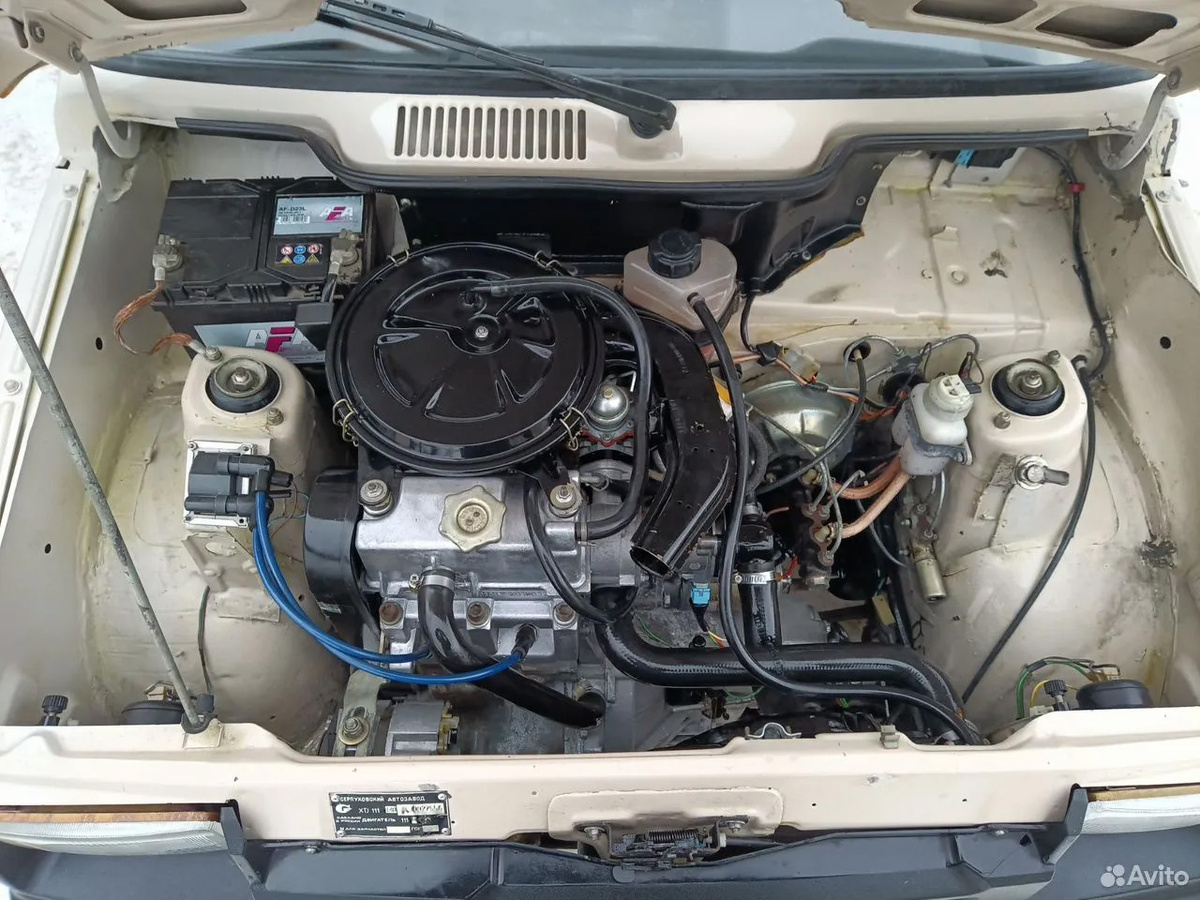 Фото: Avito  📷
