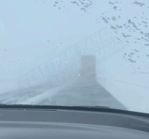    Фото: соцсети