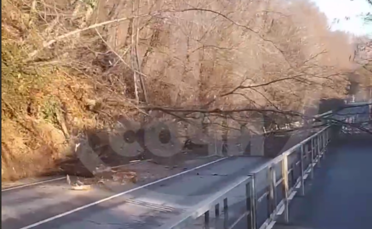 Фото: telegram-канал "ЧП Сочи"