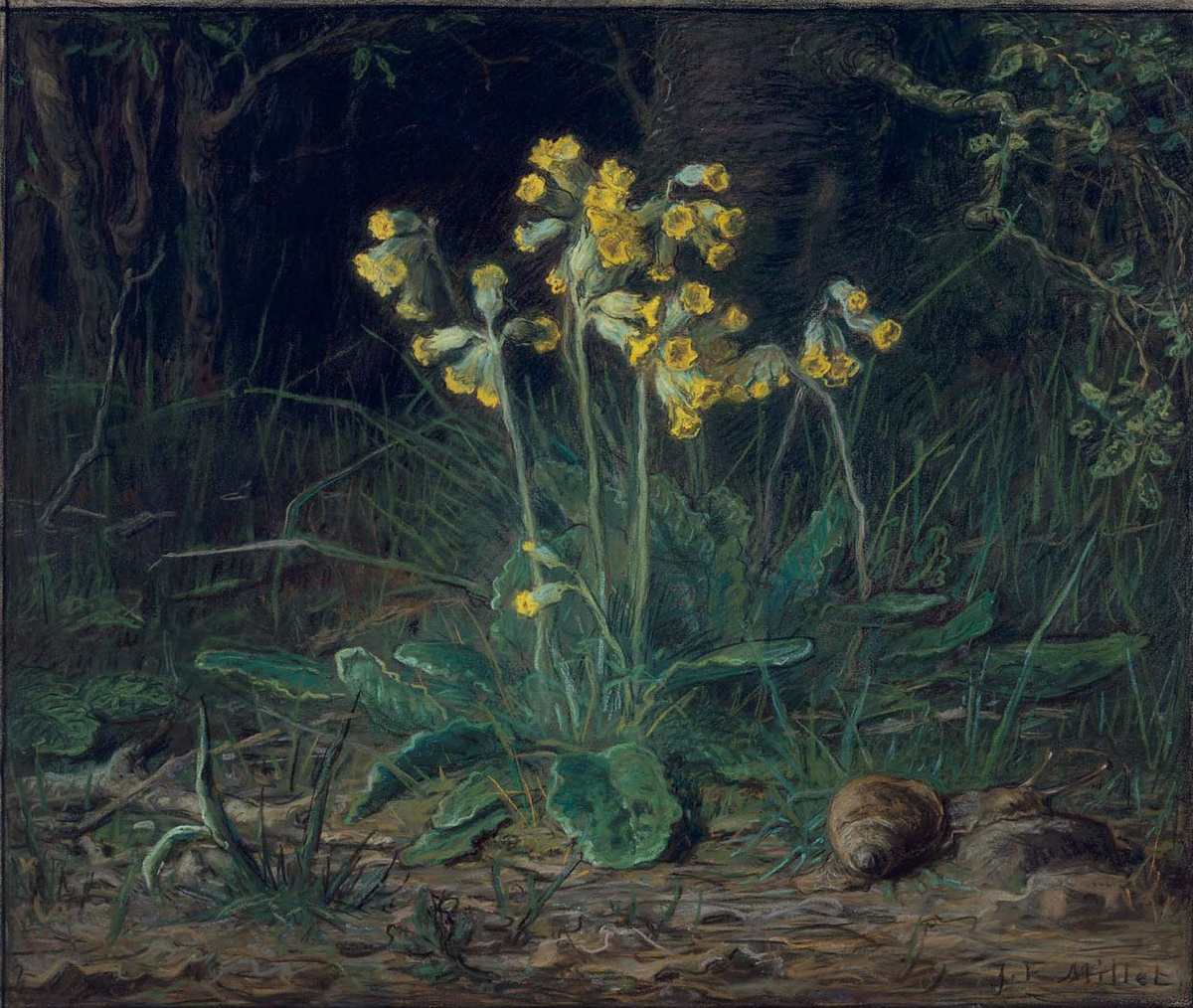 Цикламены, 1868 