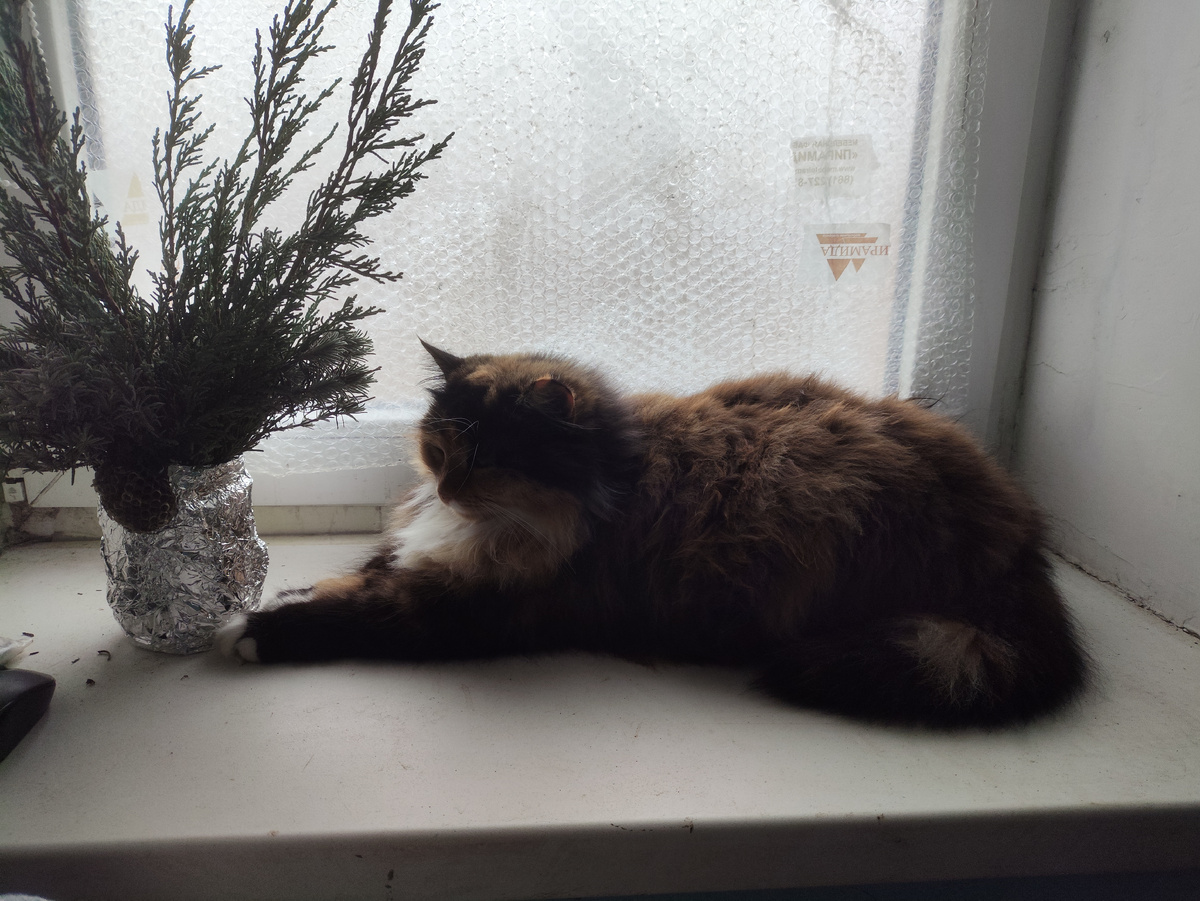 Хорошо лежит!