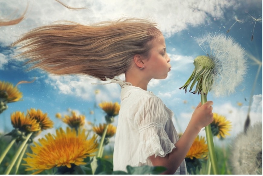 Так мог бы выглядеть «одуван». 