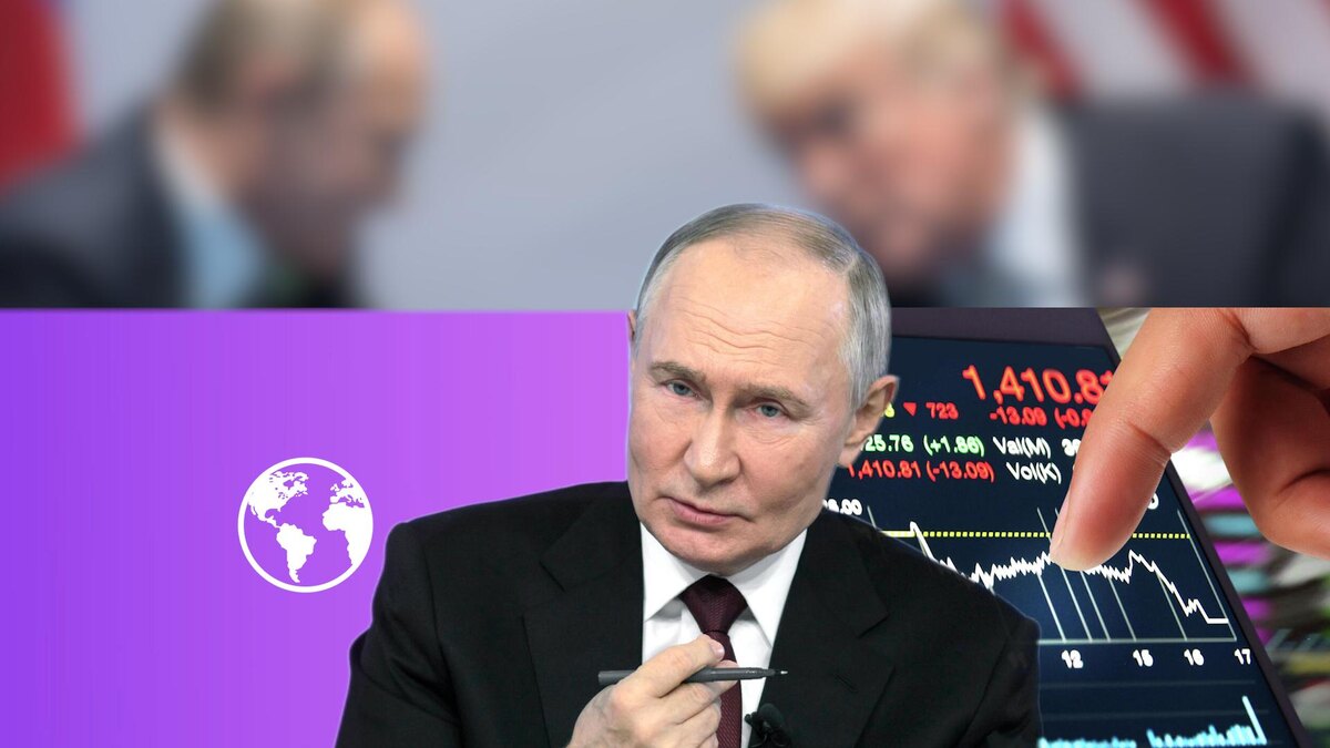 Коллаж 78.ru: globallookpress.com; kremlin.ru; pixabay.com; pngwing.com