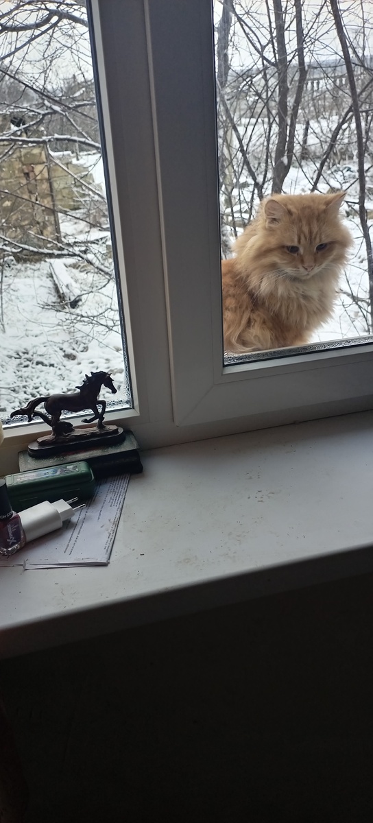 В прошлом году