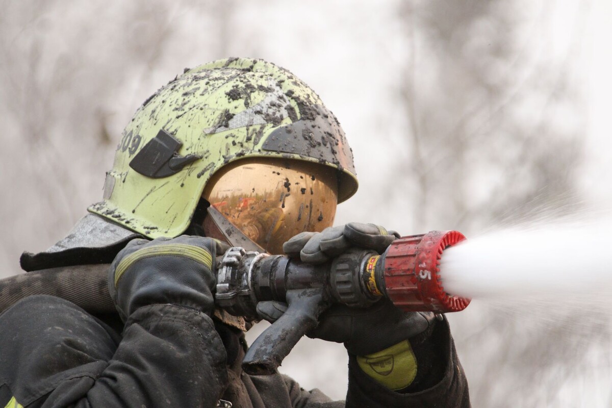     / Источник: © Денис Бочаров/Global Look Press