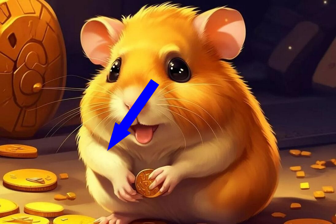    Как я пыталась разбогатеть на Hamster Combat