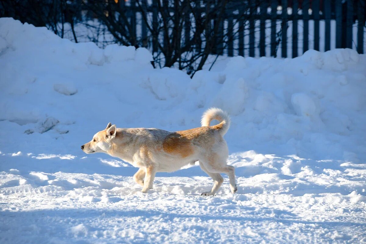    Фото: "Республика"/ Оксана Кудряшова