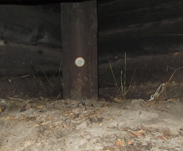 Фото - Шар-плазмоид.