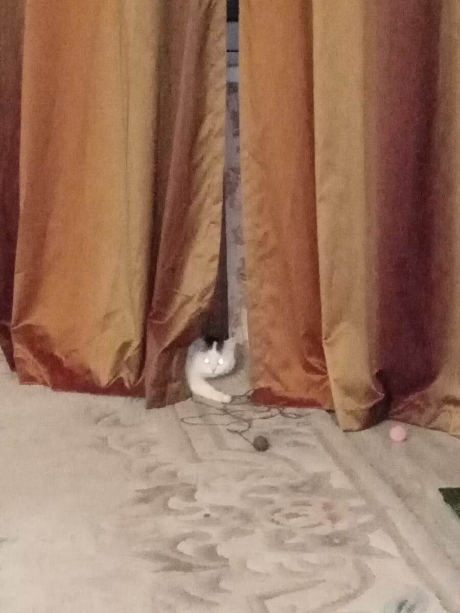 Любим, помним! 