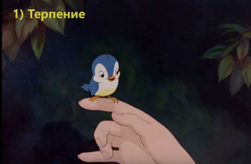 Этапы: 1. Терпение