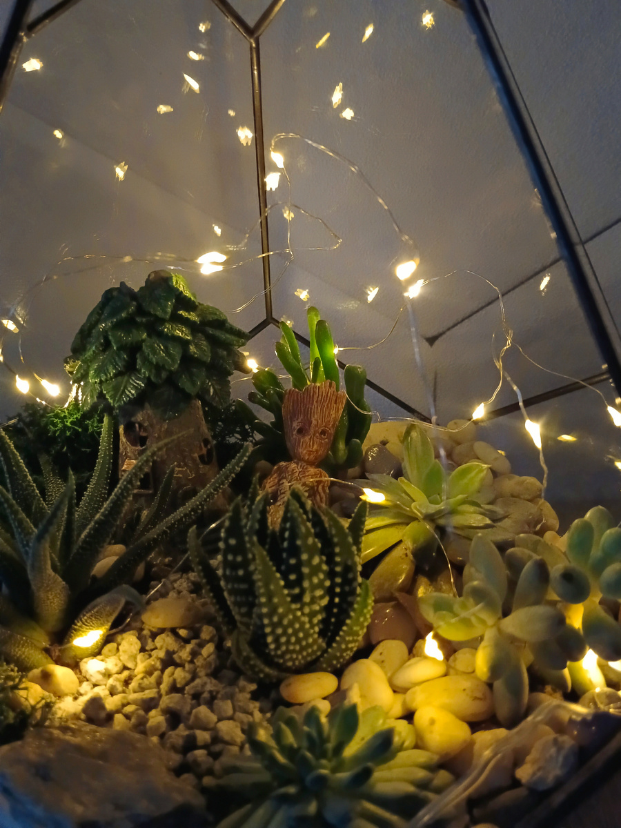 "Ты просто космос, Грут"