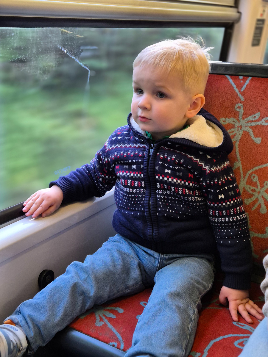 На Гришке утеплённое худи Mayoral, а сам Гришка на поезде в Диснейленд