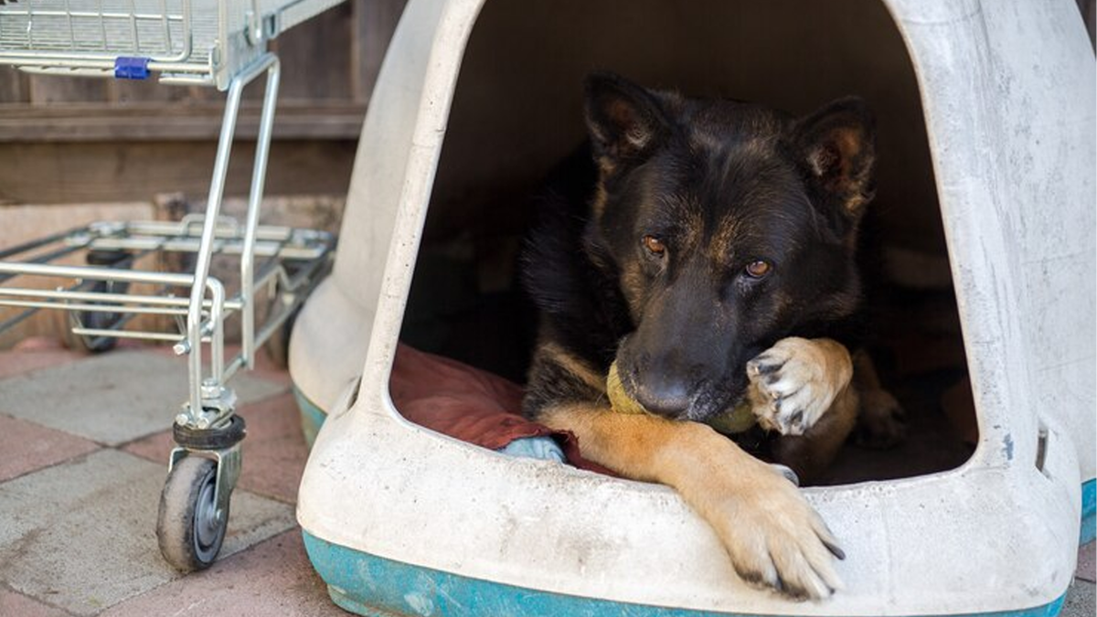 (изображение взято из интернет ресурса)