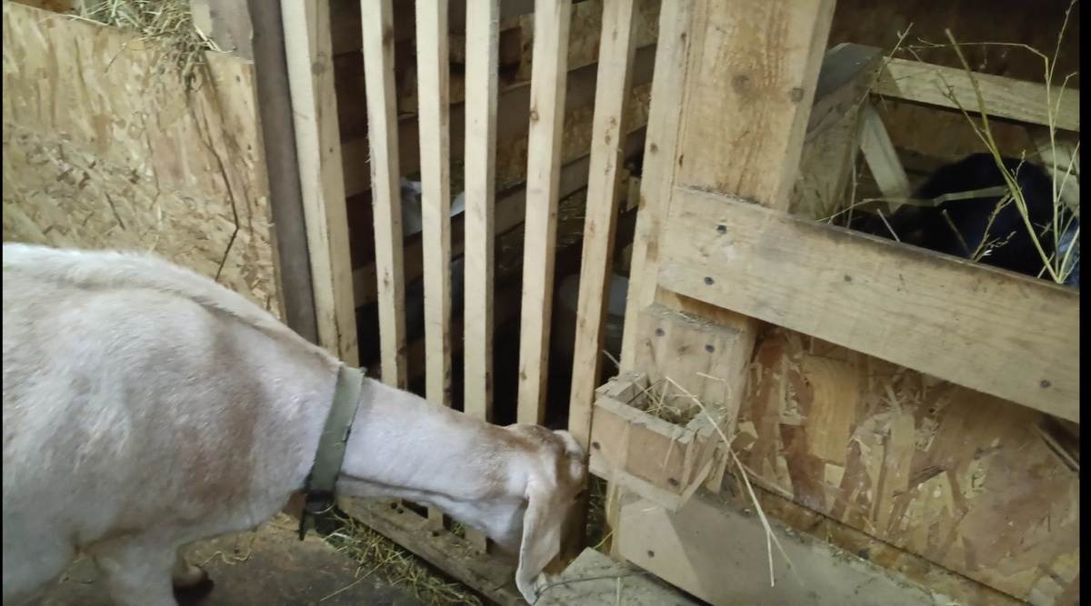 Вычислила, где её дочек прячут, рвется к ним.