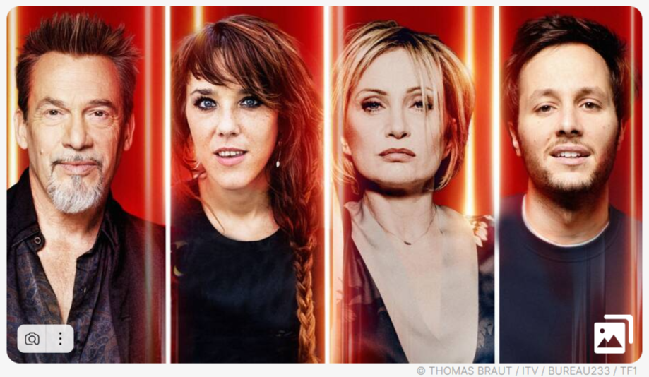 Флоран Пани, ветеран Голоса, Zaz Заз, Патрисия Каас, Vianney, самый молодой, но опытный! Из открытых источников yahoo.fr