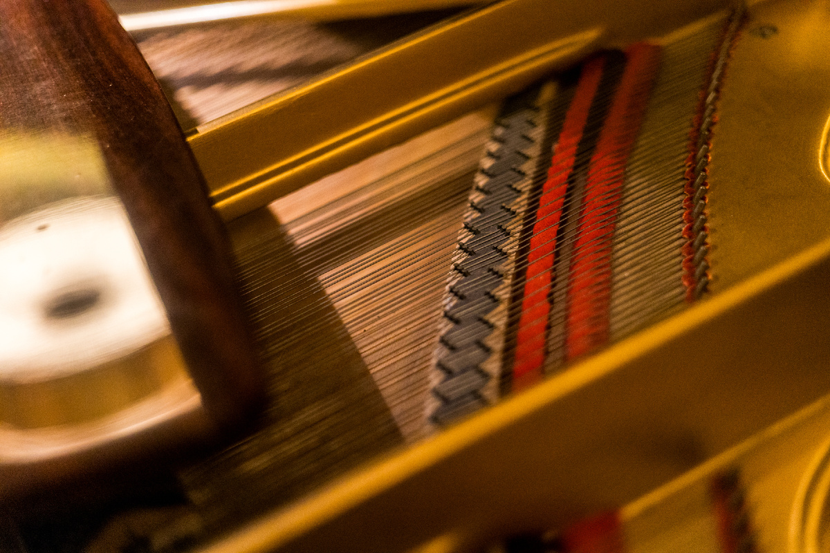 фото автора канала