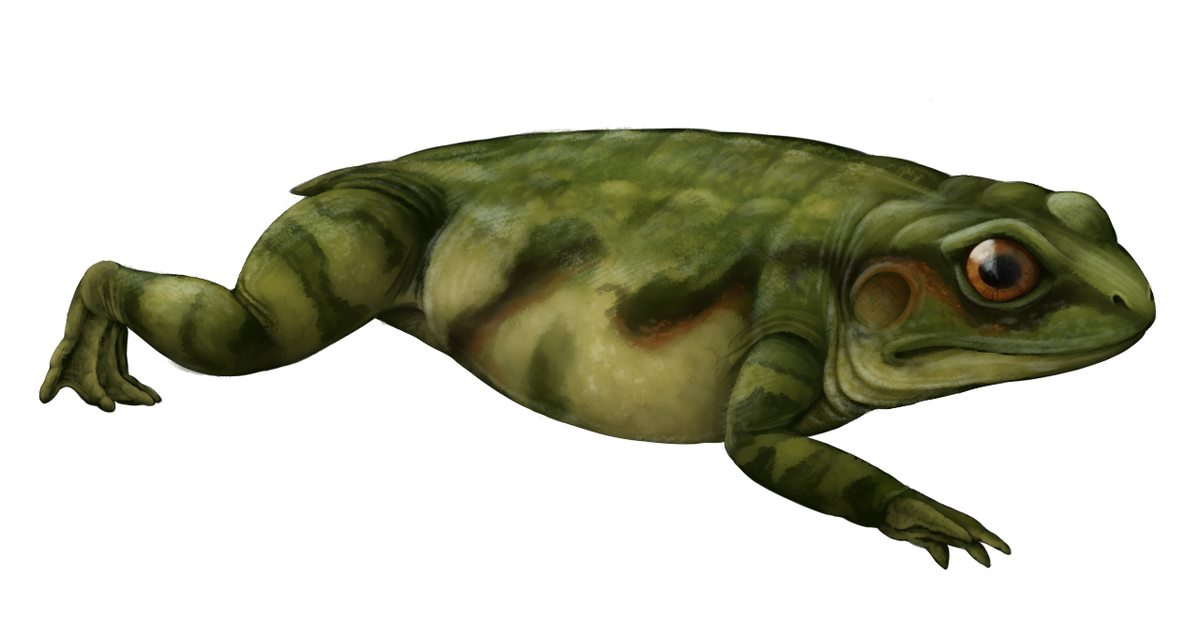 Чаткобатрах 1.