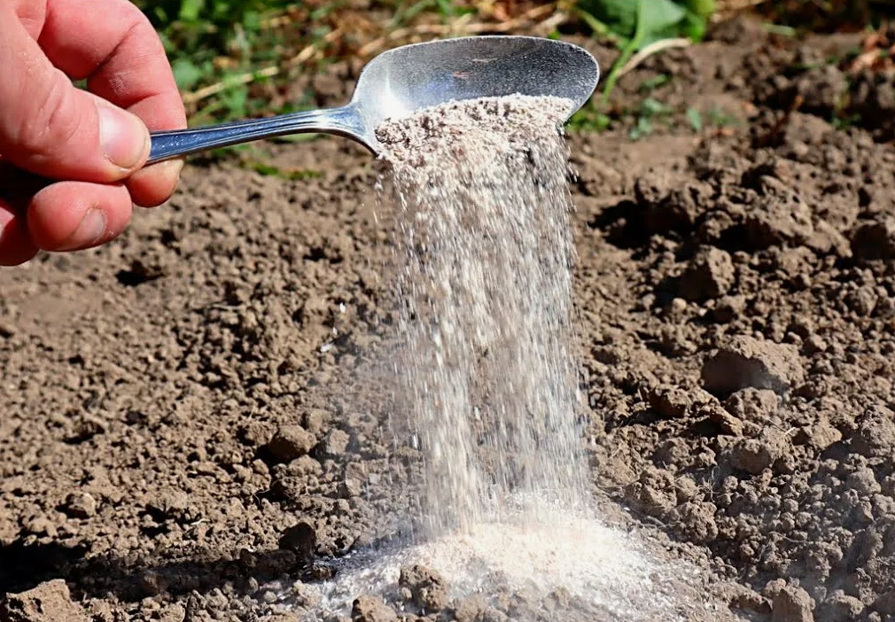 Внесение удобрения