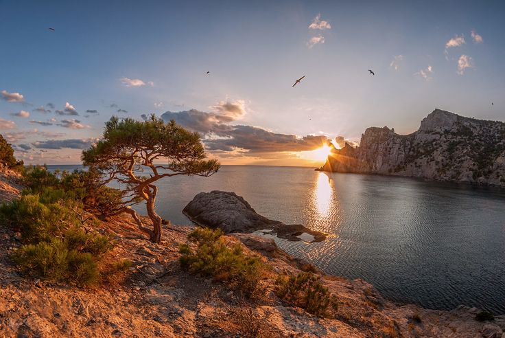 Фото из открытых источников