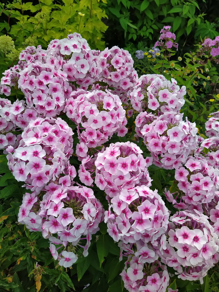 1. В галерее 8 фото, листайте