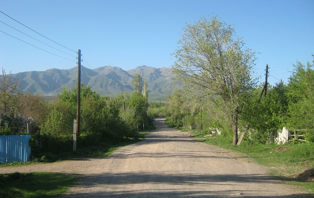 Центральная улица села Некрасовки