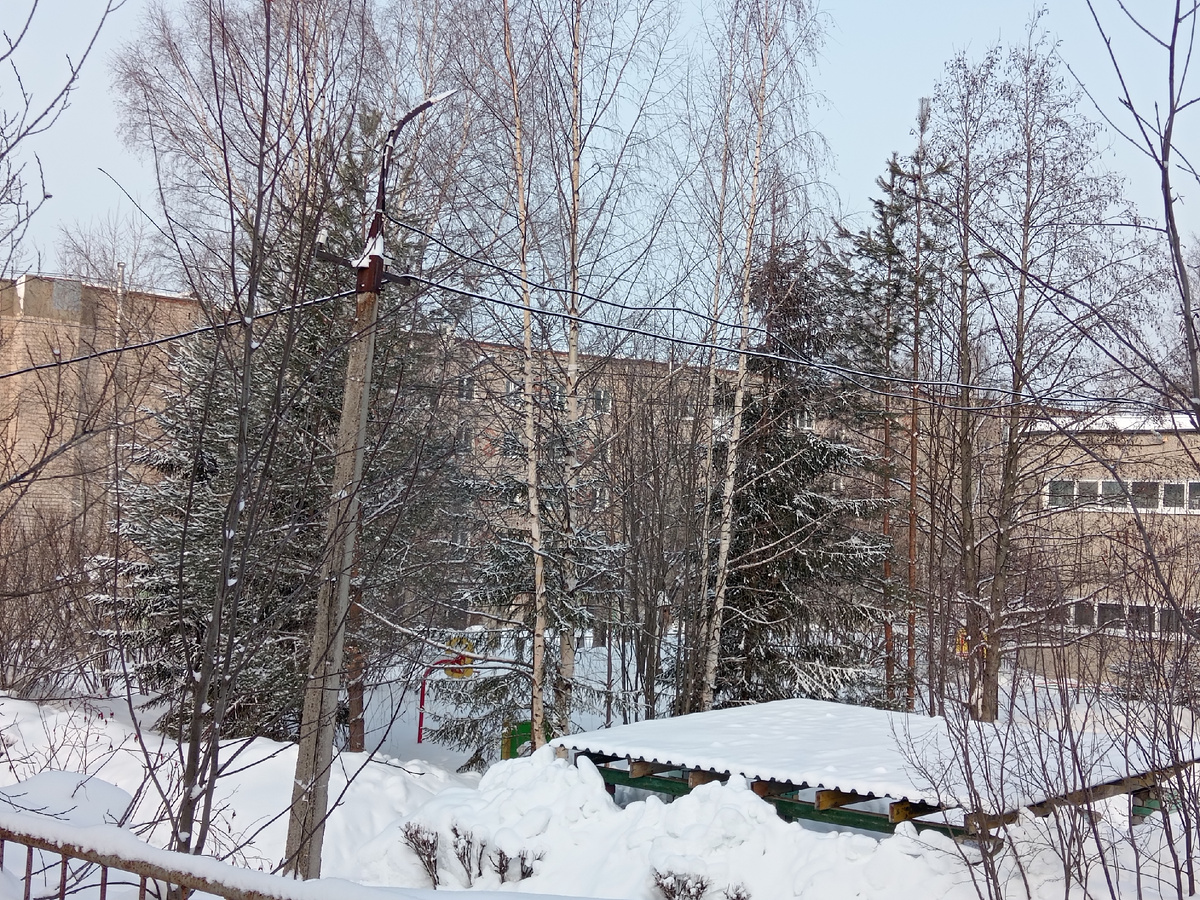 На фото детский сад, который посещал сын. Елочки были маленькие, высотой с ребяток младшей группы. А сейчас... 