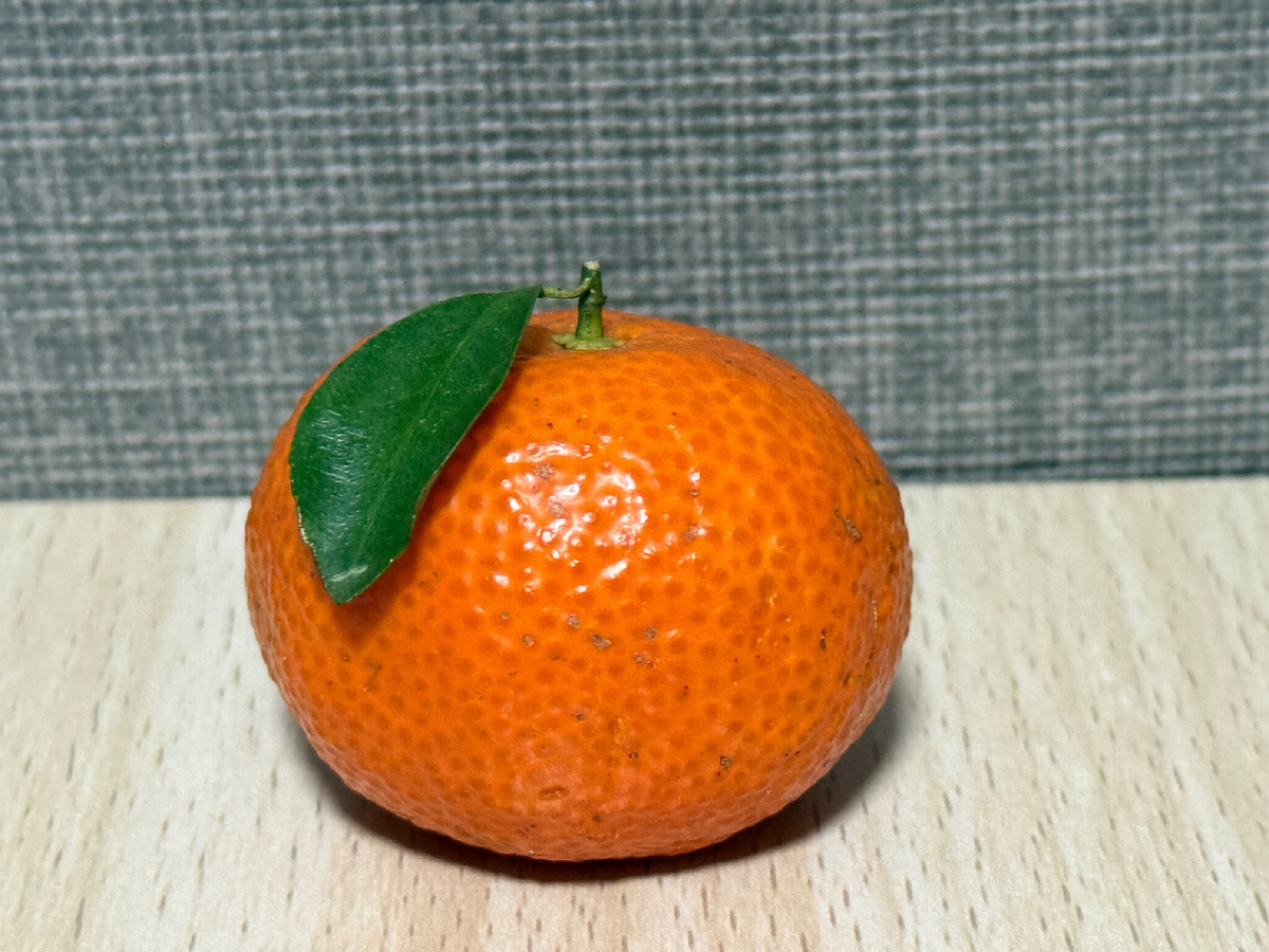 Ставлю на обложку мандарин, надеюсь, его не заблокируют