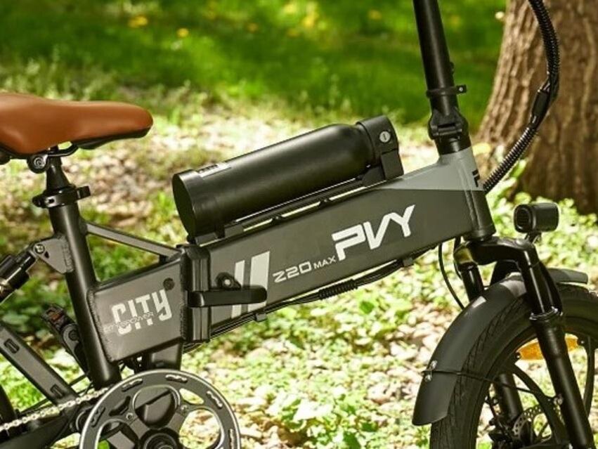 Pvy x20 max  