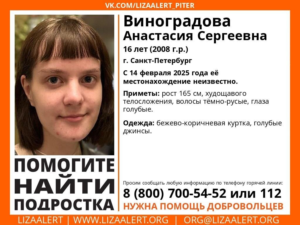    Фото: lizaalert.org