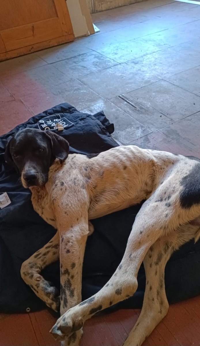 Ося. Абхазия 