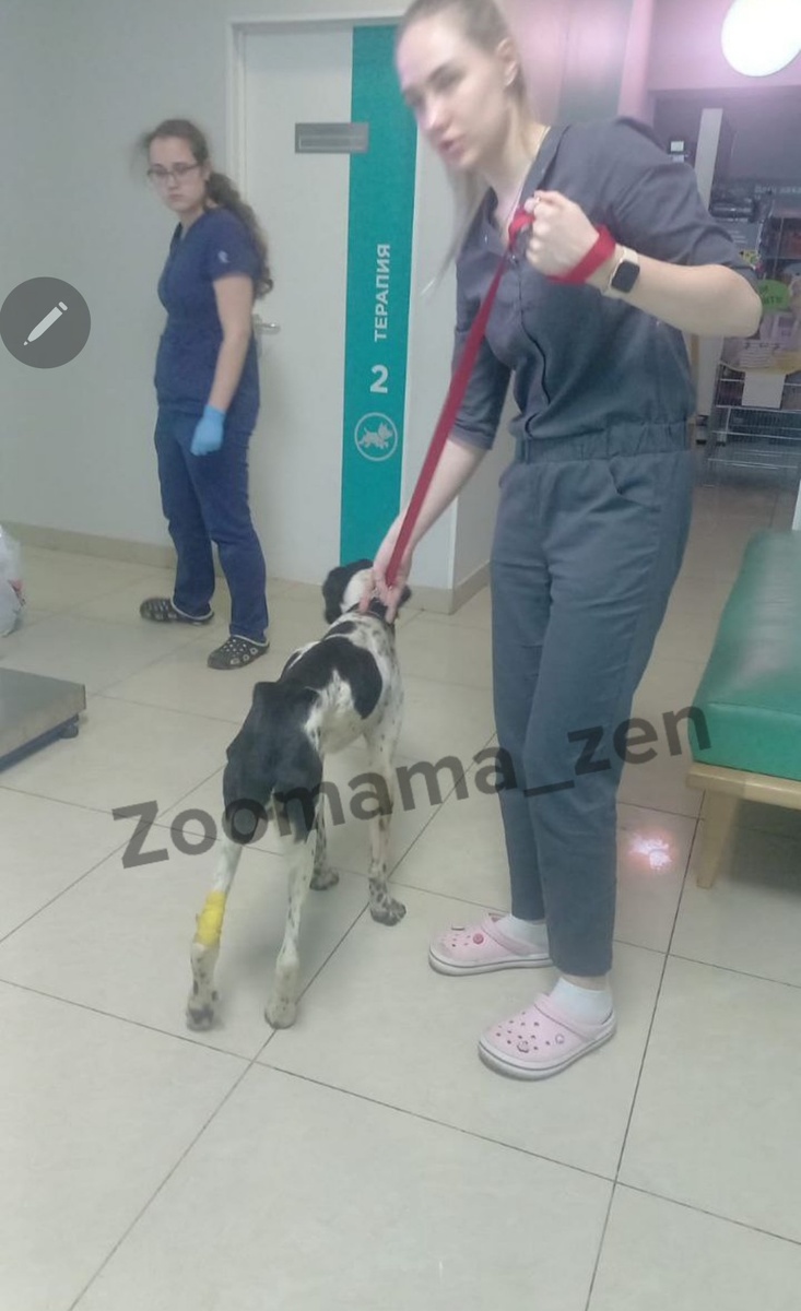 Таким он приехал к нам