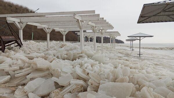    © Светлана Камбулова