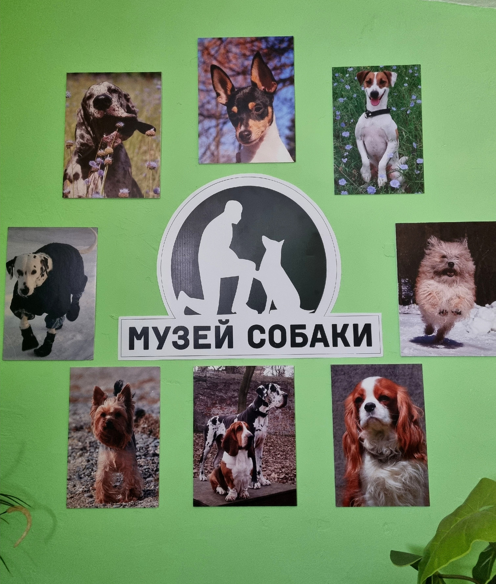 Фото автора статьи.