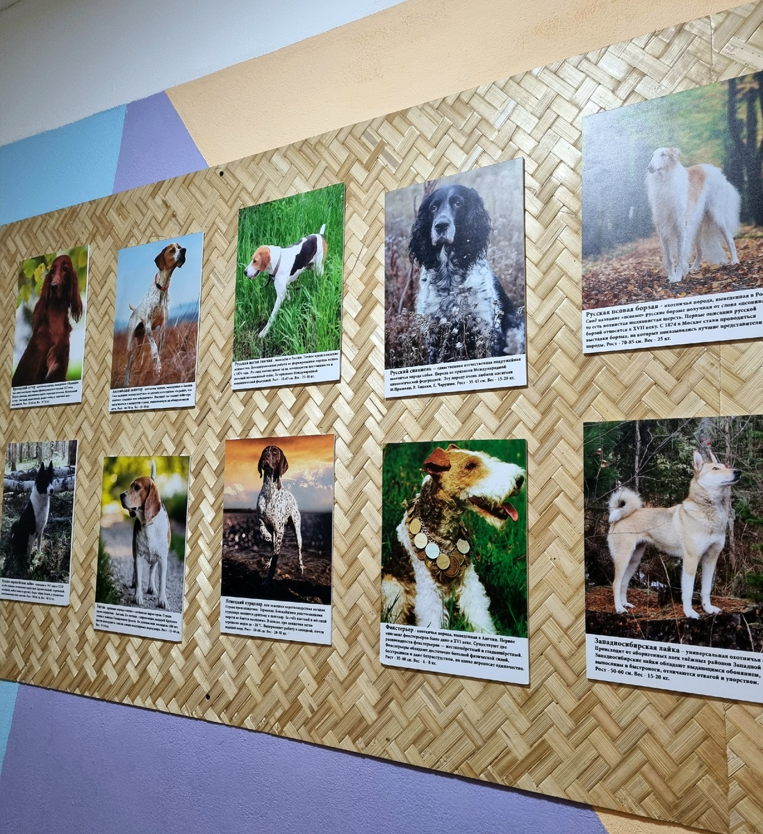 Фото автора статьи.