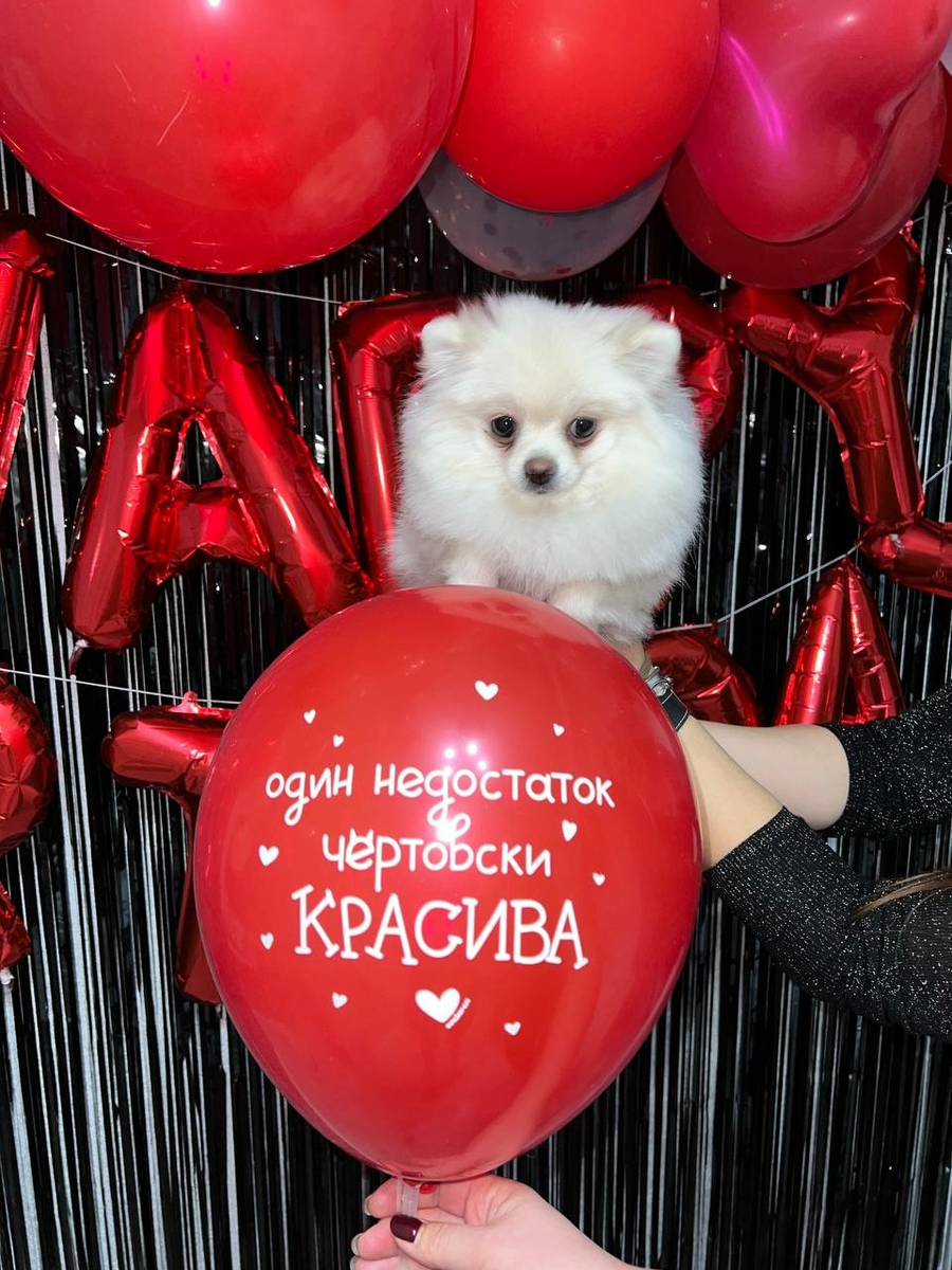 Любимица сестры