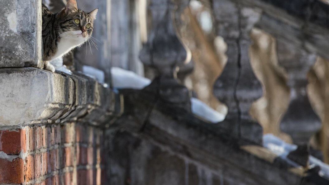    ФОТО: Bulkin Sergey/Globallookpress