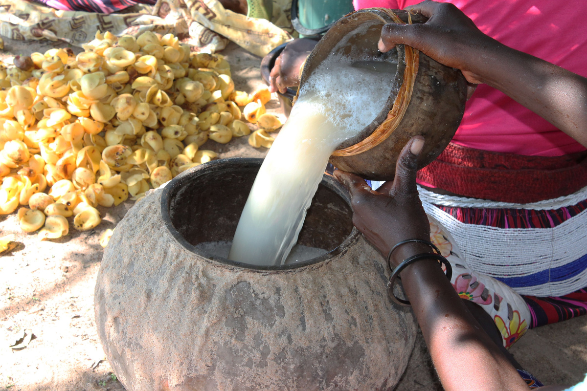 Масло африканской марулы